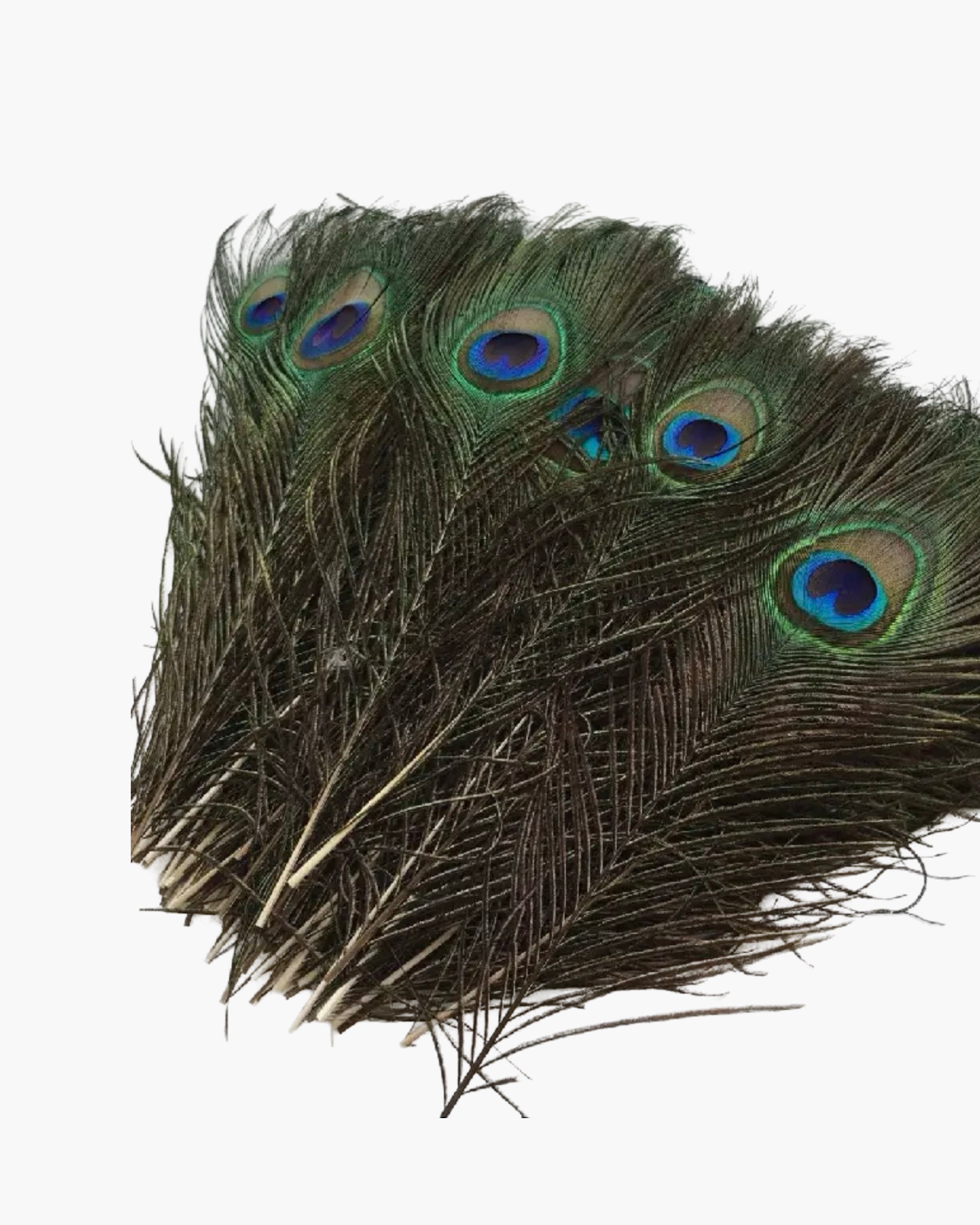 Large Feather Hat Accessory