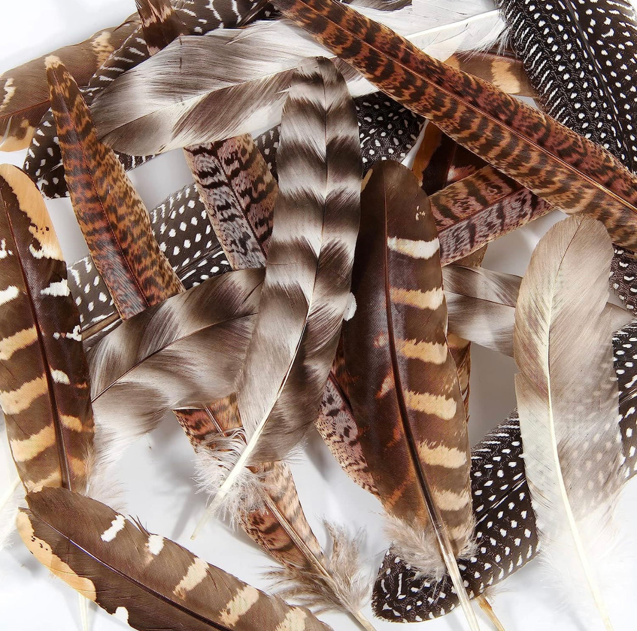 Large Feather Hat Accessory