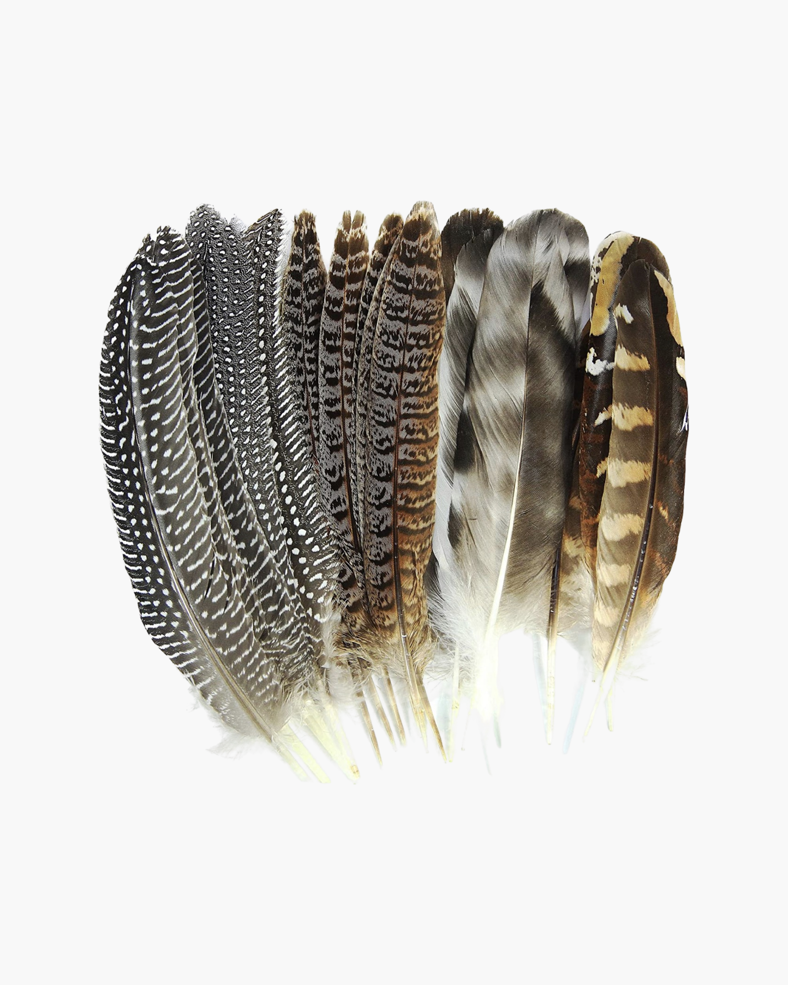 Large Feather Hat Accessory
